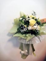 89151997_230050595056135_71