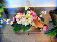 89652886_234540597940468_15